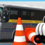 W jaki sposób stworzyć przydomowy teren? Kompleksowy poradnik dla pasjonatów zieleni